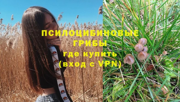эйфоретик Алексин