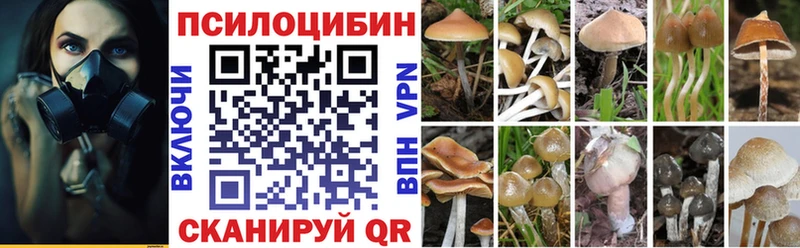 закладки  Ставрополь  Галлюциногенные грибы прущие грибы 