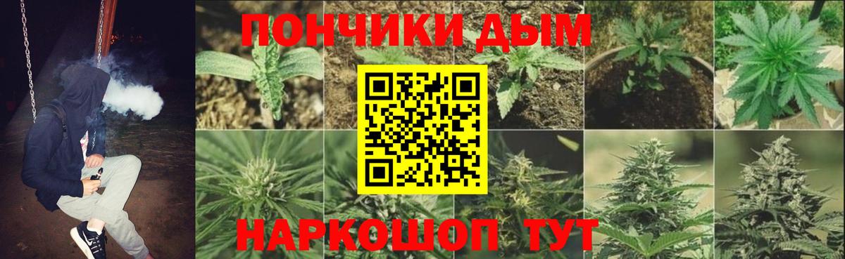 Каннабис план Ставрополь