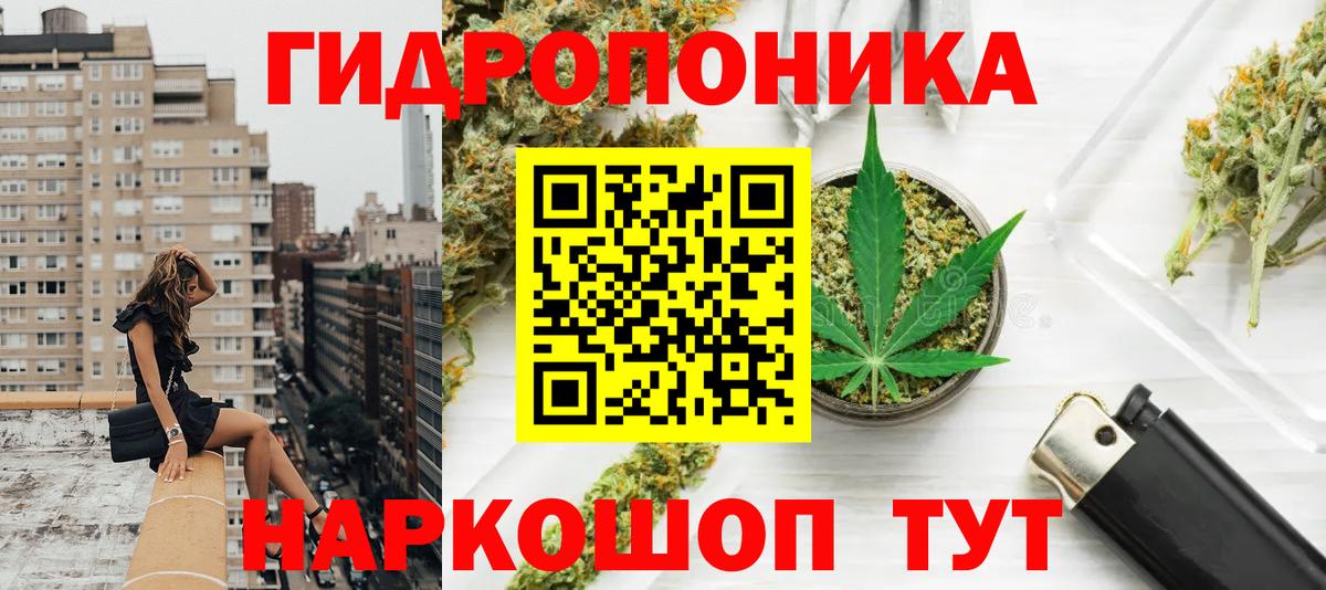 Каннабис марихуана  Вход с VPN  Каннабис Bruce Banner  Бошки марихуана семена  Ставрополь 